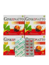 Ginkgo Natto 360 Coenzym Q10
